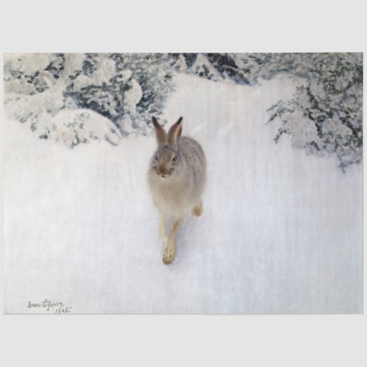 Wintergarten (Rabbit), Bruno Liljefors Seidenpapier (Vorderseite)