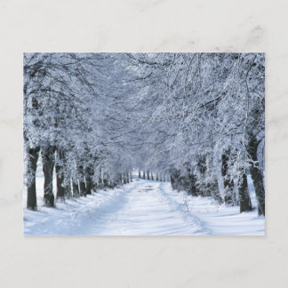 Wintergasse Postkarte