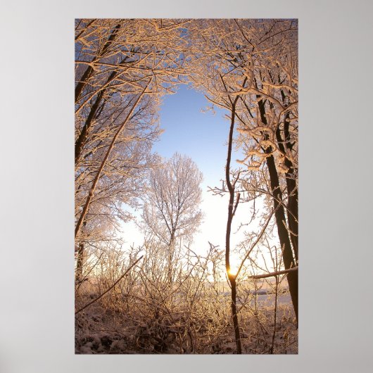 Wintergate Poster (Vorne)