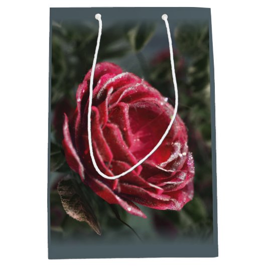 Wintergeschenktasche Mittlere Geschenktüte (Vorderseite)