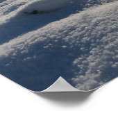 Wintergras - poster (Ecke)