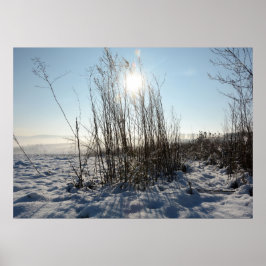 Wintergras - poster