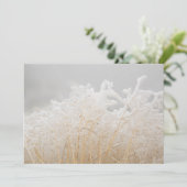 Wintergräser mit Raureif Karte (Stehend Vorderseite)
