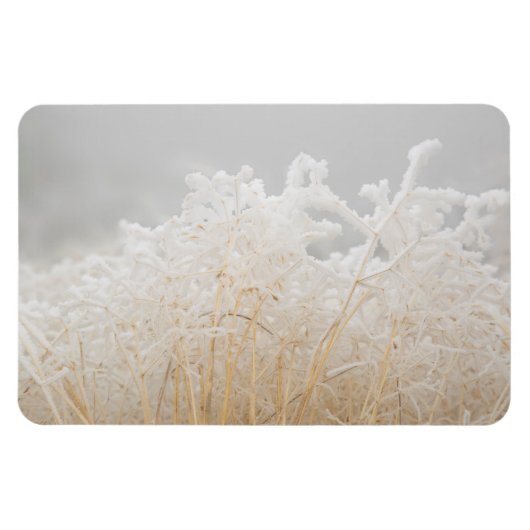 Wintergräser mit Raureif Magnet (Horizontal)