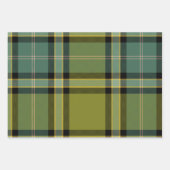 Wintergreen-Geschenkpapier-Set mit 3 flachen Bögen Geschenkpapier Set (Vorderseite)