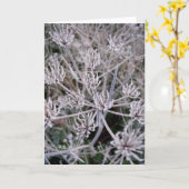 Wintergreifer Karte (Gelbe Blume)