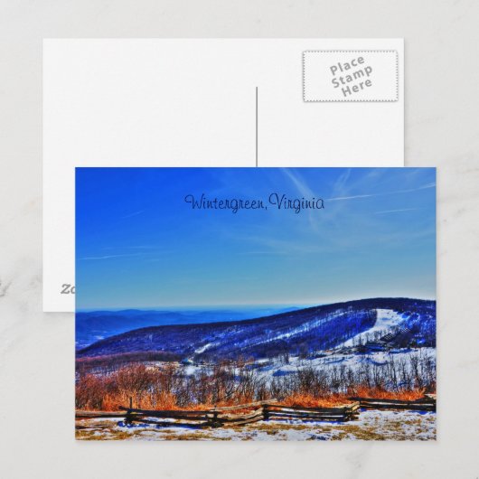 Wintergrün, Virginia Postkarte (Vorne/Hinten)