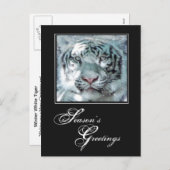 Wintergruss Winterweiße Tiger Feiertagspostkarte (Vorne/Hinten)