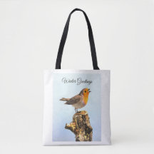 Wintergrüße. Robin singend 