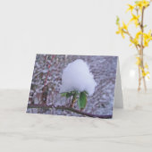 WintergrussŌ sche Schneeplanze, decke Karte (Gelbe Blume)