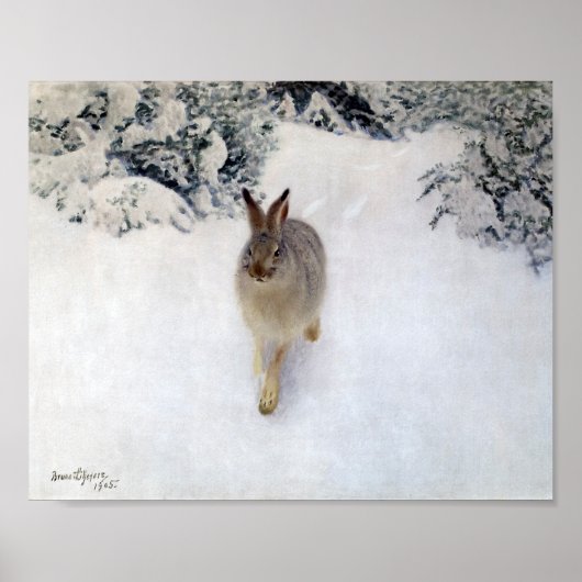 Winterhaar (Kaninchen), Bruno Liljefors Poster (Vorne)