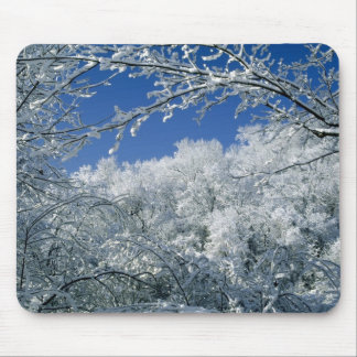 Winterhafen Mousepad