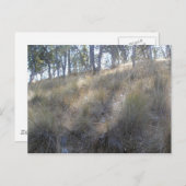 Winterhang in der Nähe von Livermore, CA Postkarte (Vorne/Hinten)