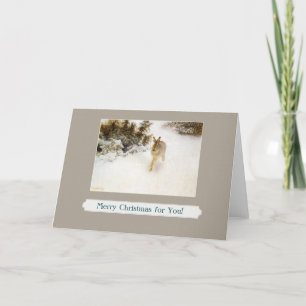 Winterhäschen-Grußkarte Feiertagskarte