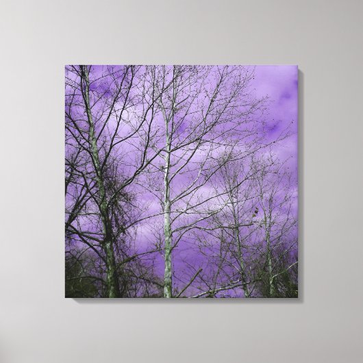 Winterhimmel mit nackten Bäumen Leinwand (Vorderseite)