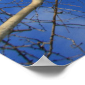 Winterhimmel Poster (Ecke)