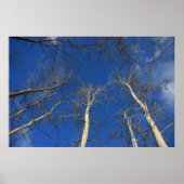 Winterhimmel Poster (Vorne)