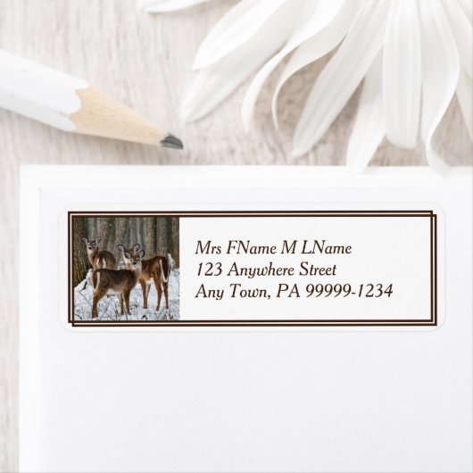 Winterhirsch (Insitu)