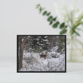 Winterhirsch Postkarte (Stehend Vorderseite)
