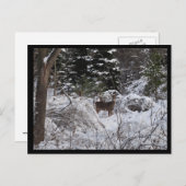 Winterhirsch Postkarte (Vorne/Hinten)