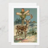 Winterhirsche Vintage Illustration Weihnachtskarte Feiertagskarte (Vorne/Hinten)