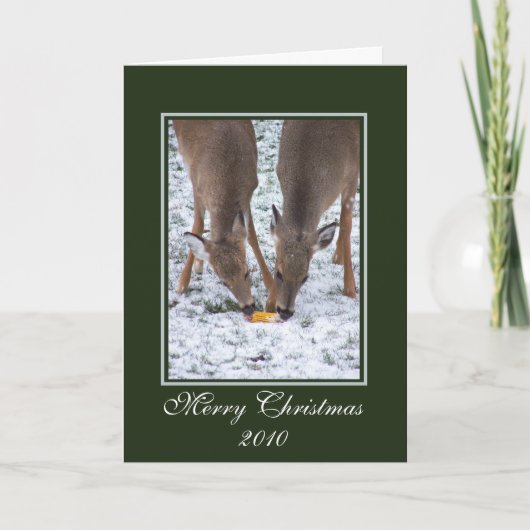 Winterhirsche/Weihnachtskarte Feiertagskarte (Vorderseite)