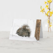 Winterhirtennotecard Karte (Gelbe Blume)