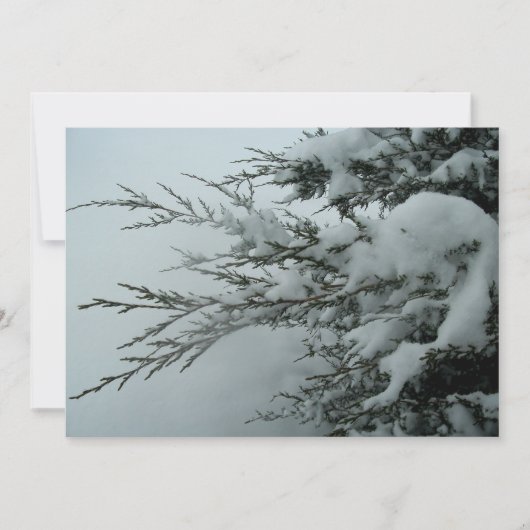 Winterhochzeit Evergreen Baum mit Schnee Einladung (Vorderseite)