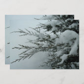 Winterhochzeit Evergreen Baum mit Schnee Einladung (Vorne/Hinten)