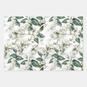 Winterholz zweigt grünes Muster ab Geschenkpapier Set (Vorderseite 3)