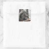 Winterhörnchen auf einem Aufkleber (Tasche)