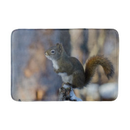 Winterhörnchen, Brauntier, kanadisches Foto Badematte