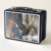 Winterhörnchen, Brauntier, kanadisches Foto Metall Brotdose (Rückseite)