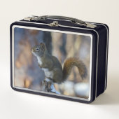 Winterhörnchen, Brauntier, kanadisches Foto Metall Brotdose (Vorderseite)
