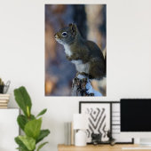 Winterhörnchen, Brauntier, kanadisches Foto Poster (Heimbüro)