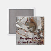 Winterhörnchen, Schnee & Rote Berries Xmas Design Magnet (Vorderseite/Rückseite)