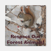 Winterhörnchen, Schnee & Rote Berries Xmas Design Magnet (Vorne)