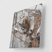 Winterhörnchen, Schnee & Rote Berries Xmas Design Quadratische Wanduhr (Winkel)