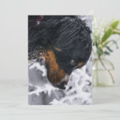 Winterhund Berner Geburtstag Einladung (Stehend Vorderseite)