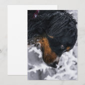 Winterhund Berner Geburtstag Einladung (Vorne/Hinten)