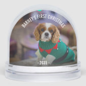 Winterhund's Foto Weihnachten Schneekugeln (Vorderseite)