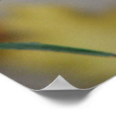 Winterkälte Poster (Ecke)