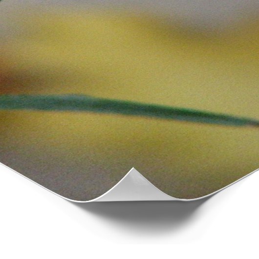 Winterkälte Poster (Ecke)