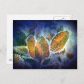 Winterkälte Postkarte (Vorne/Hinten)