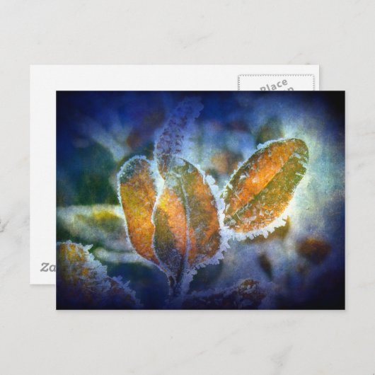 Winterkälte Postkarte (Vorne/Hinten)