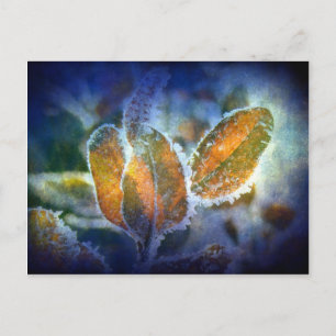 Winterkälte Postkarte