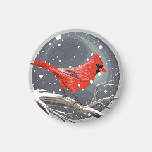 Winterkardinal