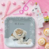 Winterkatze zum Schneekoppeln von Tellern Pappteller (Party)