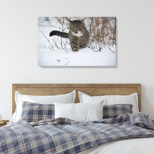 Winterkatzen-Leinwand Leinwanddruck (Insitu (Schlafzimmer))