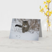 Winterkatzengrüßkarte Karte (Gelbe Blume)